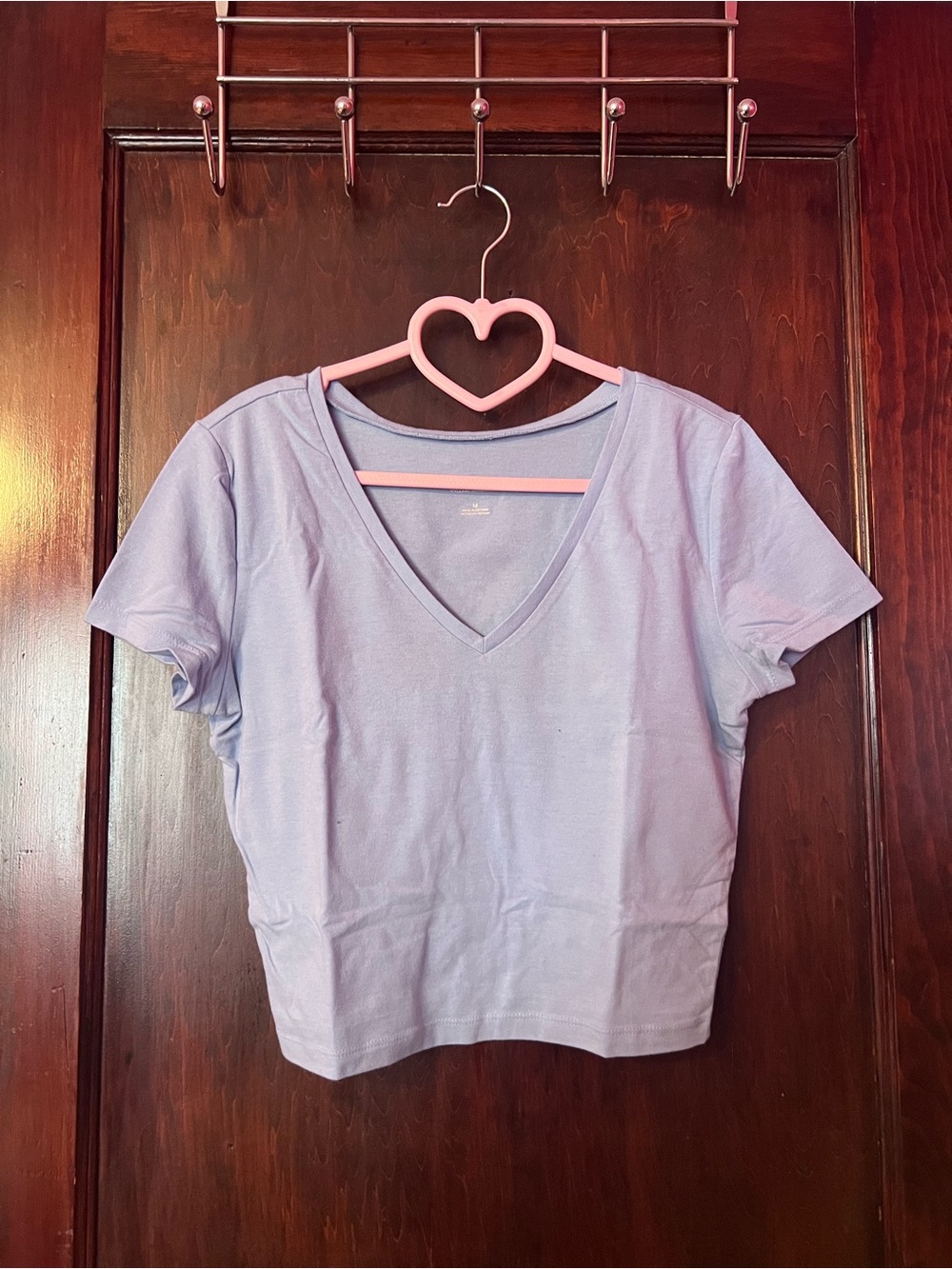wild fable Lavender V-Neck Cropped Tee